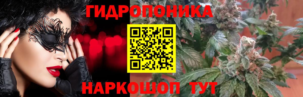 Шишки марихуана индика Саратов